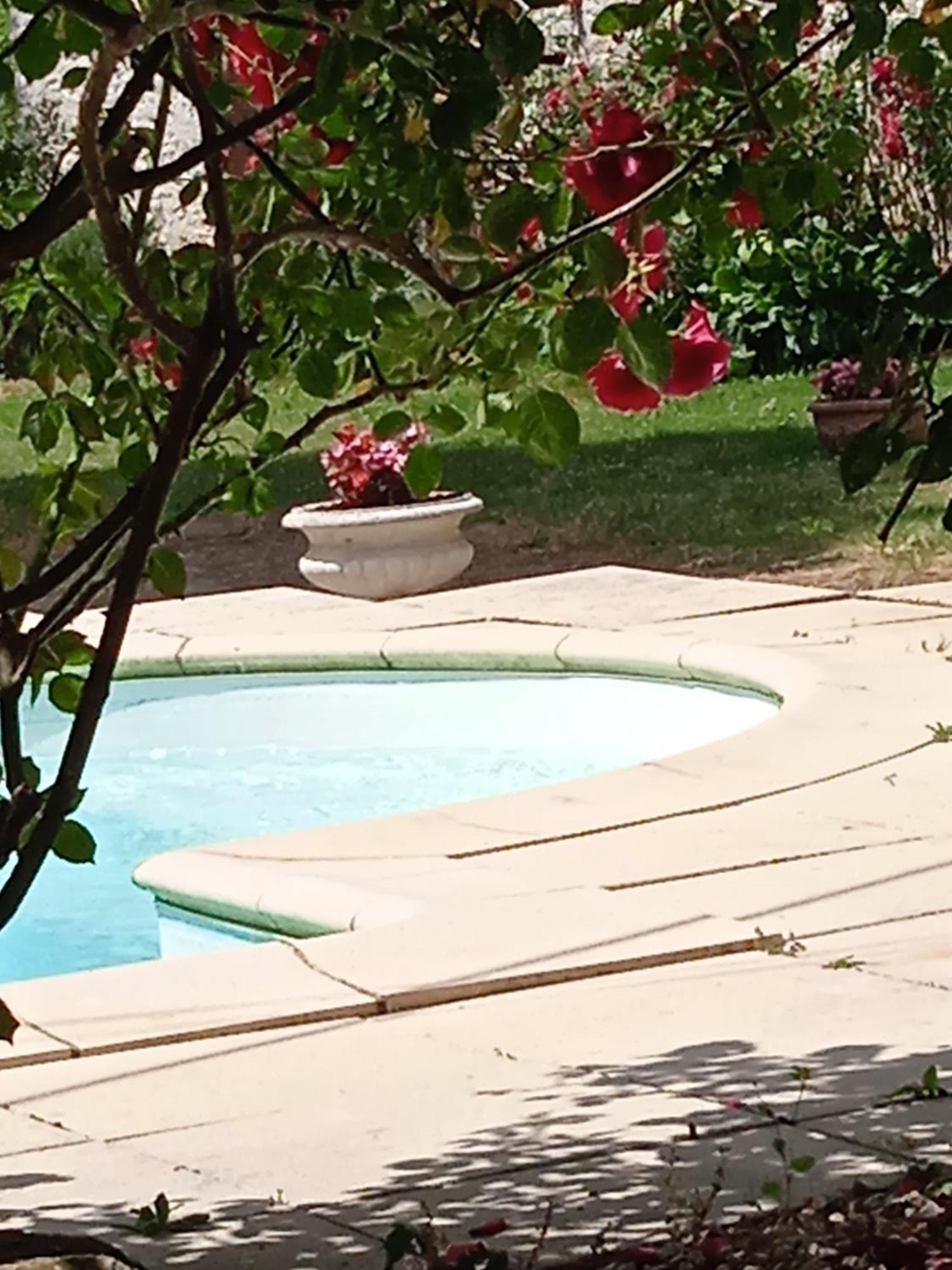 Bed and Breakfast Coucouhirondelle Brux Exterior foto